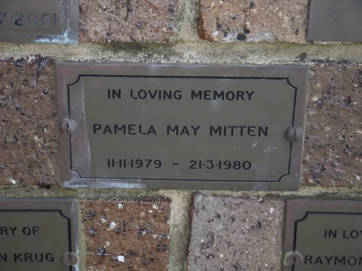 MITTEN Pamela May 1979-1980