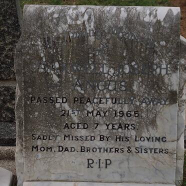 ANGUS Maxwell Joseph -1965