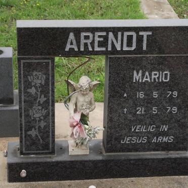 ARENDT Mario 1979-1979