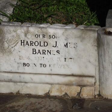 BARNES Harold James 1971-1971