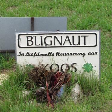 BLIGNAUT Koos