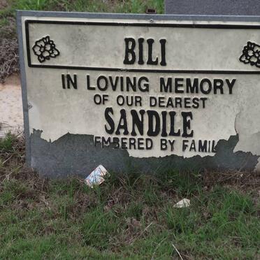 BILI Sandile 1958-2004