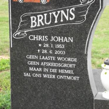 BRUYNS Chris Johan 1953-2003