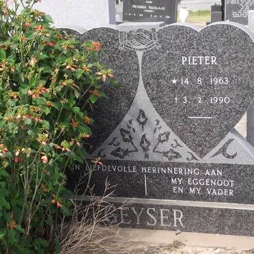 GEYSER Pieter 1963-1990
