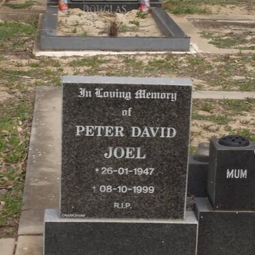 JOEL Peter David 1947-1999