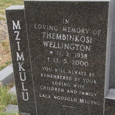 MZIMKULU Thembinkosi Wellington 1958-2000