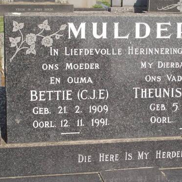 MULDER Surnames :: Vanne