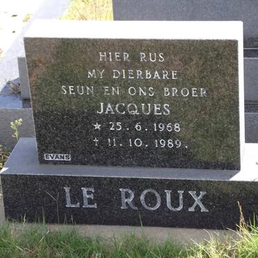 ROUX Jacques, le 1968-1989