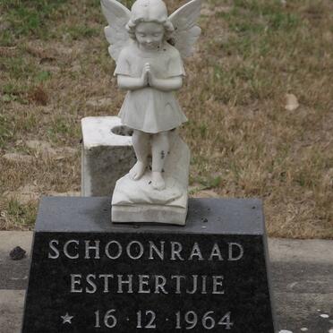 SCHOONRAAD Esther 1964-1965