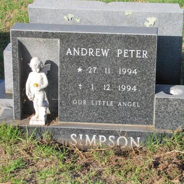 SIMPSON Andrew Peter 1994-1994
