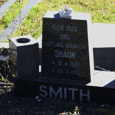 SMITH Shaun 1981-1981
