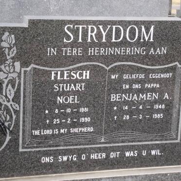 STRYDOM Benjamen A. 1948-1985 :: FLESCH Stuat Noel 1981-1990