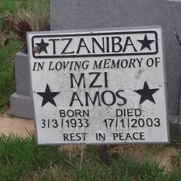 T - Vanne :: Surnames - T