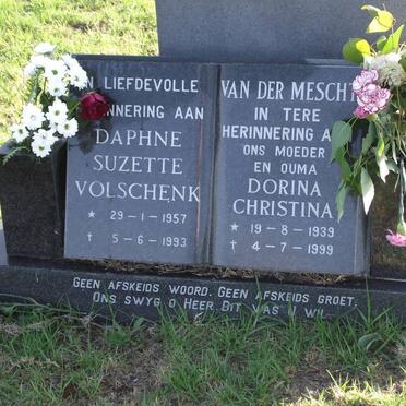 VOLSCHENK Daphne Suzette 1957-1993 :: SCHOULTZ  Dorina Christina formerly VAN DER MESCHT 1939-1999