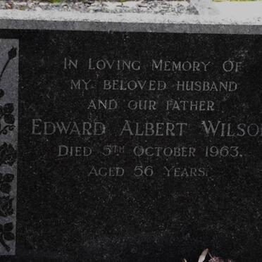 WILSON Surnames :: Vanne