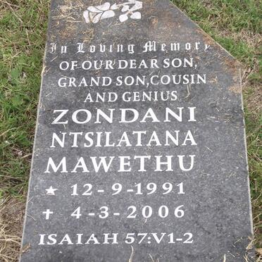 ZONDANI Ntsilatana Mawethu 1991-2006