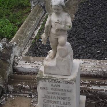 BELLINGAN Johannes Cornelius 1946-1953