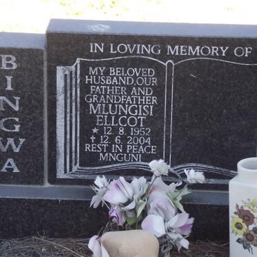 BINGWA Mlungisi Ellcot 1952-2004