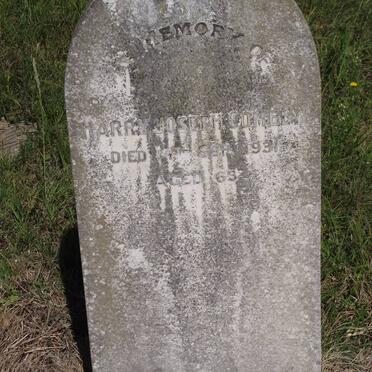 COMELY Harry Joseph -1931