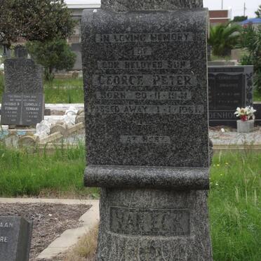 Ec - Surnames starting with the letters Ec