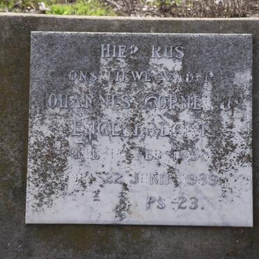 ENGELBRECHT Johannes Cornelius 1858-1939