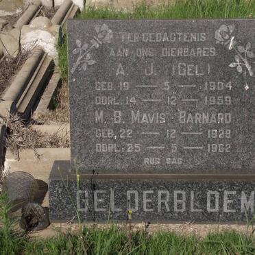 GELDERBLOEM A.J. 1904-1959 &amp; M.B. Mavis BARNARD 1928-1962