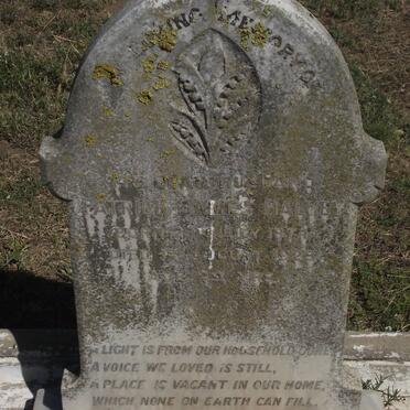 HALVEY Patrick James 1874-1928