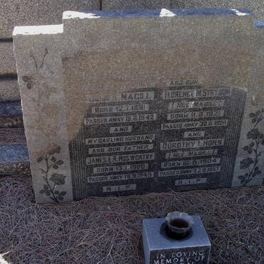 MAGILL :: NOSWORTHY :: STRYDOM :: HORN