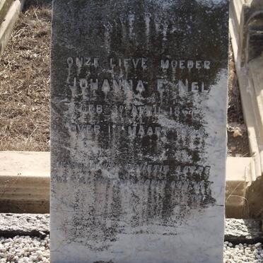 NEL Johanna E. 1867-1928