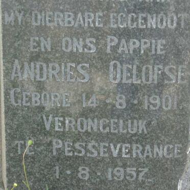 OELOFSE Andries 1901-1957