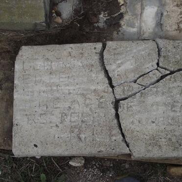 PEARSE Lemar E.D. ::  BEER R.S.