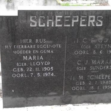 SCHEEPERS :: GOUWS :: MARAIS :: SCHEEPERS