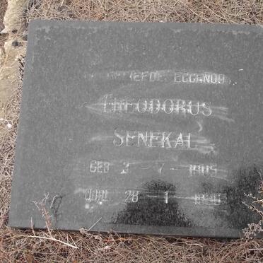 SENEKAL Theodorus 1905-1936