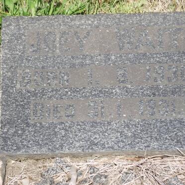 WAIT Joey 1930-1931