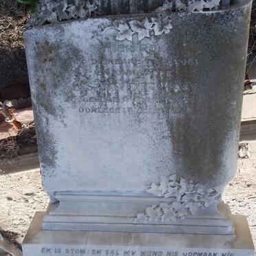 WALT H.S., van der 1895-1988