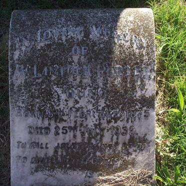 YOUNG McLintock Porter 1875-1939