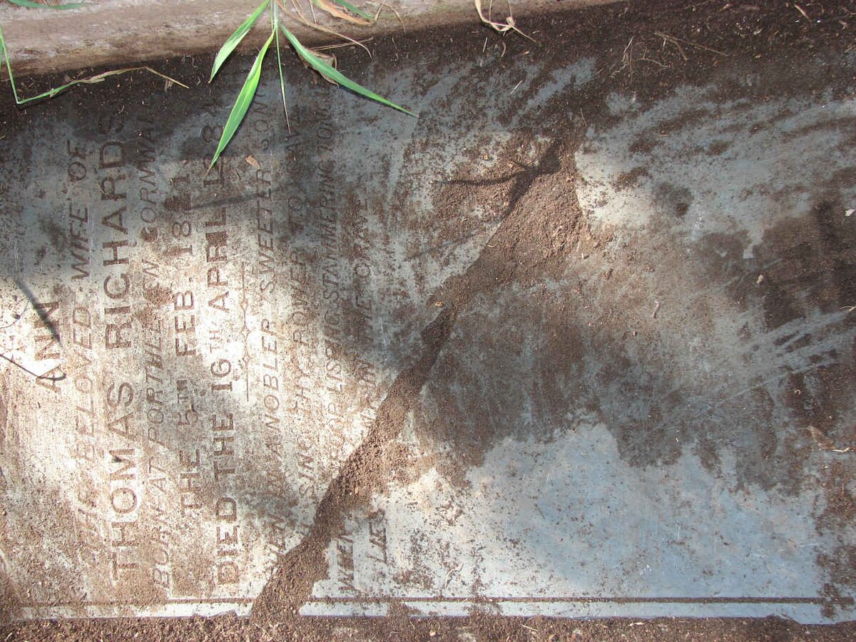 RICHARDS Ann 1821-1884