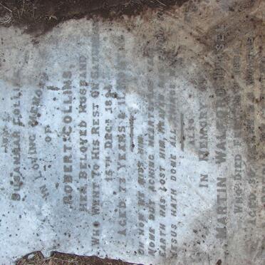 COLLINS Robert -1894 :: DIESEL Martin Walford -1885