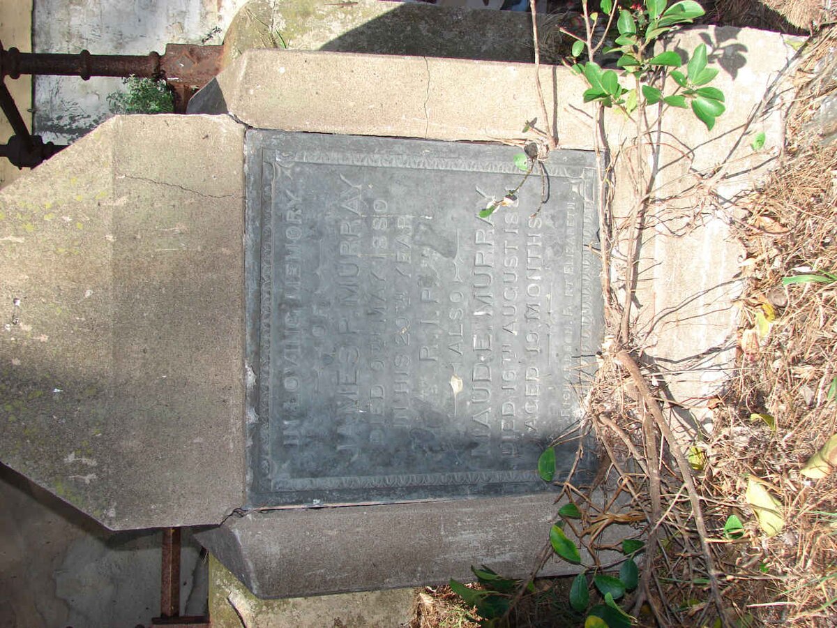 MURRAY James P. -1880 :: MURRAY  Maude 1881