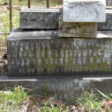 WHITE Florcene nee LUCAS -1896 