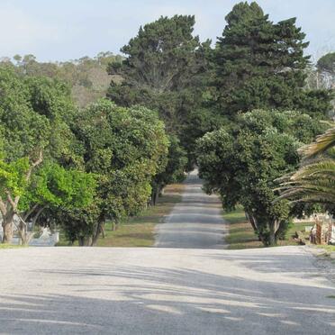 01. Entrance into South End Cemetery