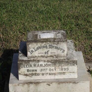 BAGSHAW Celia Marjorie 1899-1910