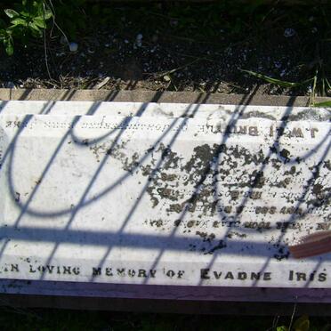 BRITTLE Evadne Iris 1900-1901