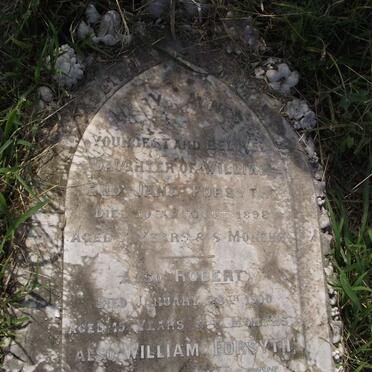 FORSYTH Mary Agnes :: FORSYTH Robert :: FORSYTH William