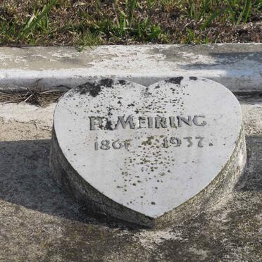 MEIRING P. 1861-1937