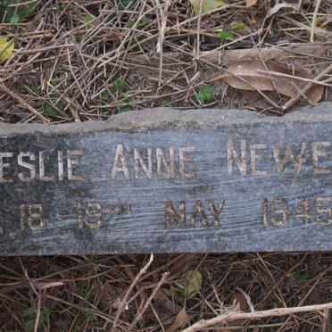 NEWELL Leslie Anne 1945-1945