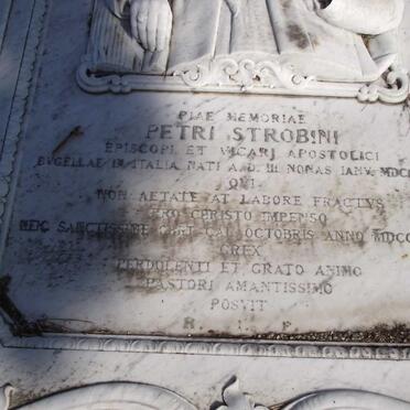 STROBINI Petri 1856-1896