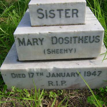 SHEEHY Mary Dositheus -1947
