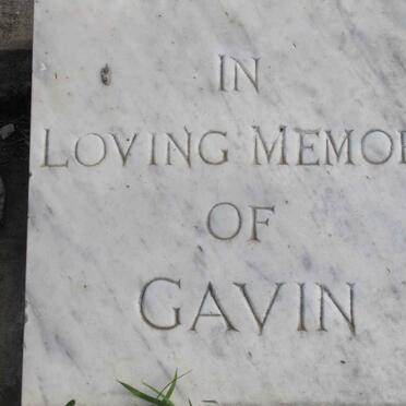 ? Gavin