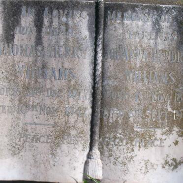 WILLIAMS Thomas Henry 1877-1947 &amp; Johanna Hendrika 1878-1947